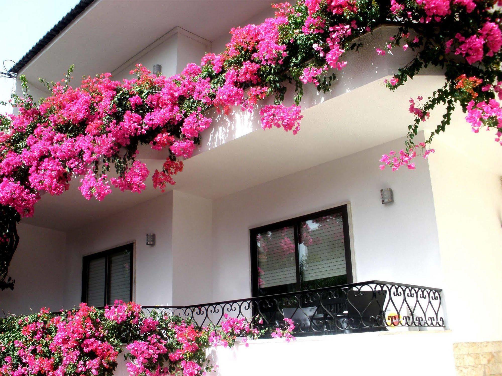 Dolce Cascais Guest House Экстерьер фото